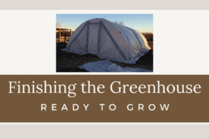 Finishing the Greenhouse… Seriously Ready to Grow!