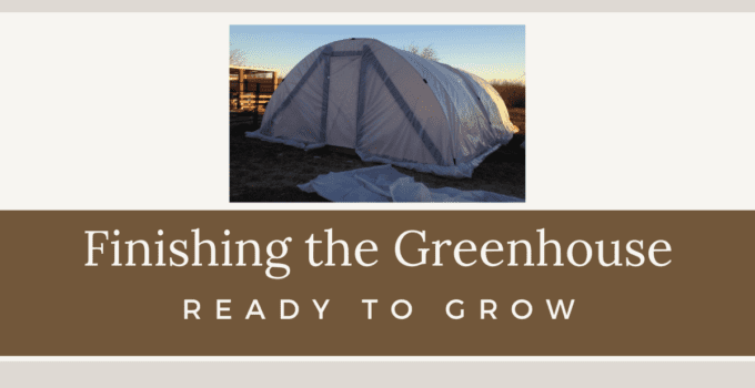 greenhouse