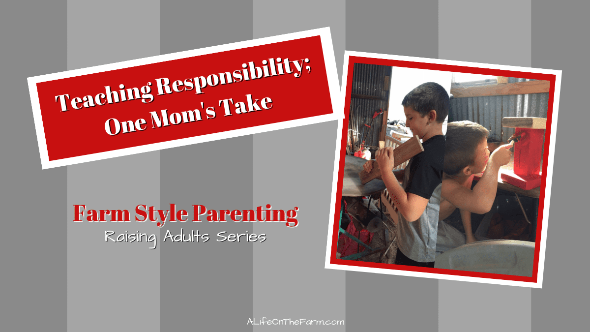 teaching responsibility