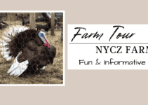 Farm Tour – Nycz Farm – Fun and Informative