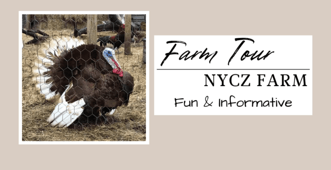 farm tour