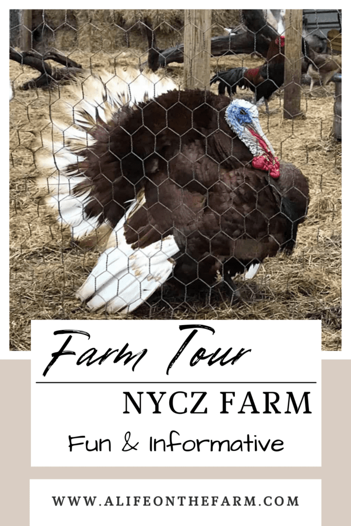 farm tour