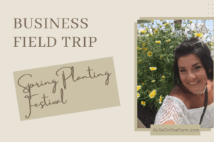 Spring Planting Festival 2019 – Fun and Informative