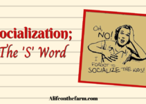 Socialization; The 1 ‘S’ Word I Hate