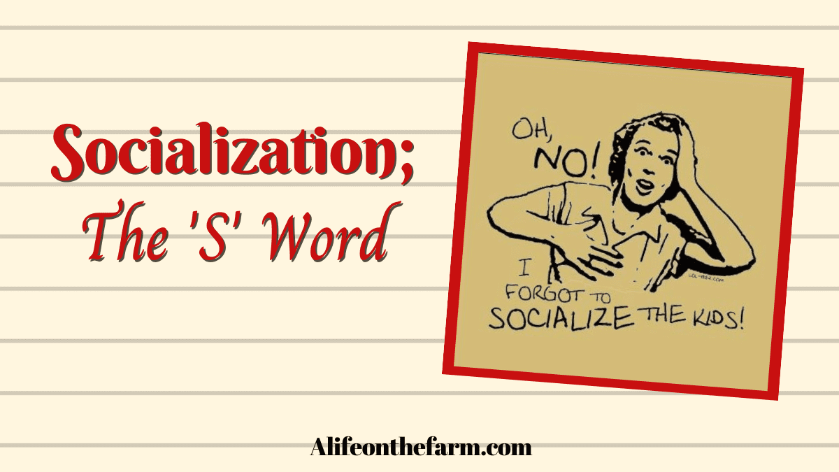 Socialization