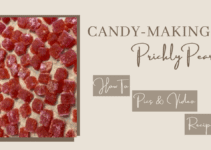 Prickly Pear Candy – Unusual and Easy!