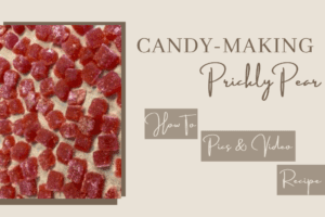 Prickly Pear Candy – Unusual and Easy!