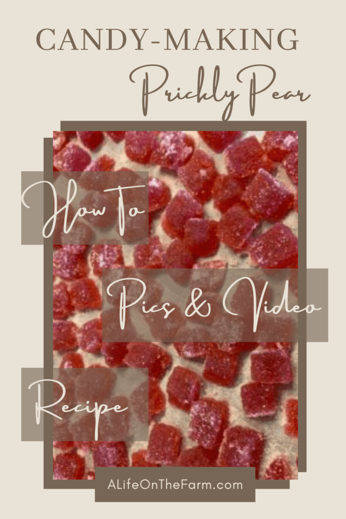 prickly pear
