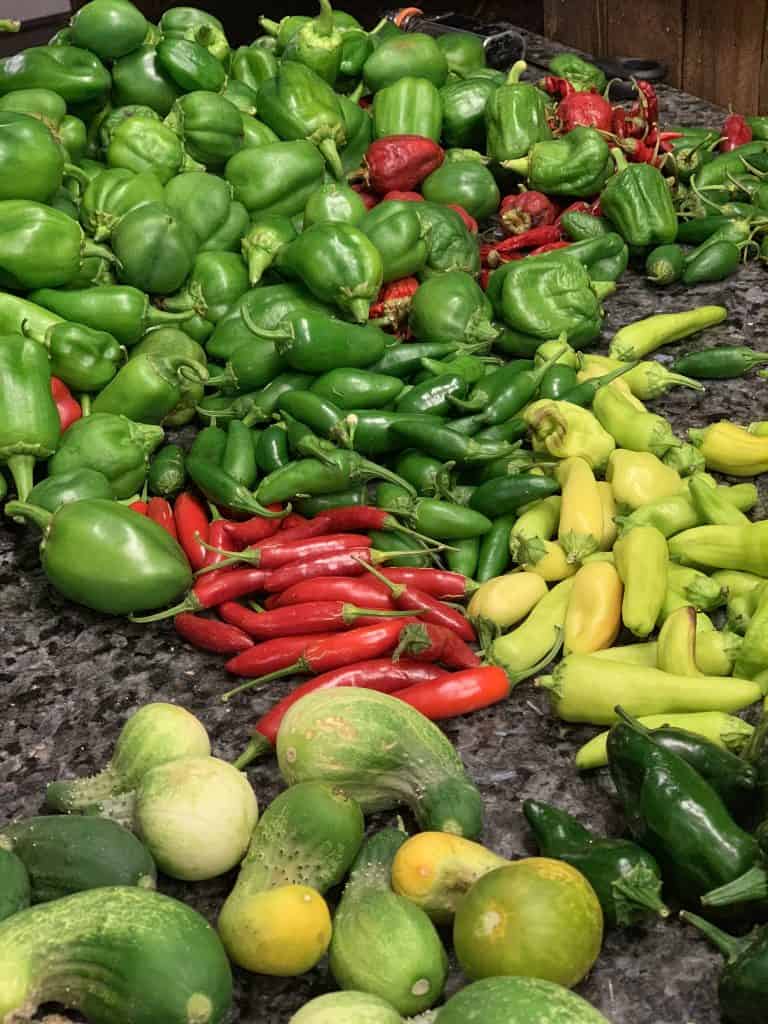 Preserving Peppers - Don't Miss the Delectable Delight 4 peppers