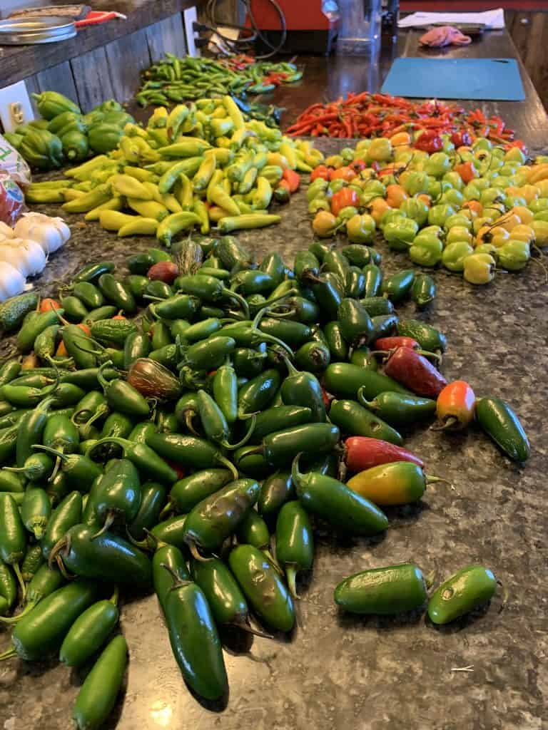 Preserving Peppers - Don't Miss the Delectable Delight 2 peppers