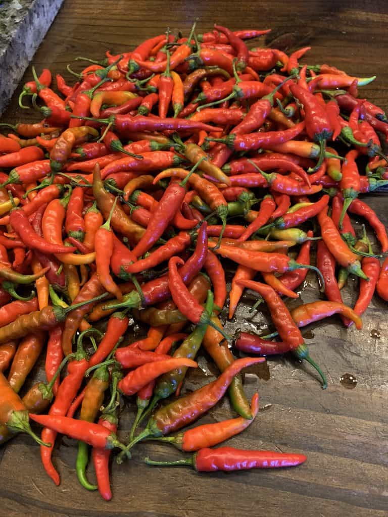 Preserving Peppers - Don't Miss the Delectable Delight 6 peppers