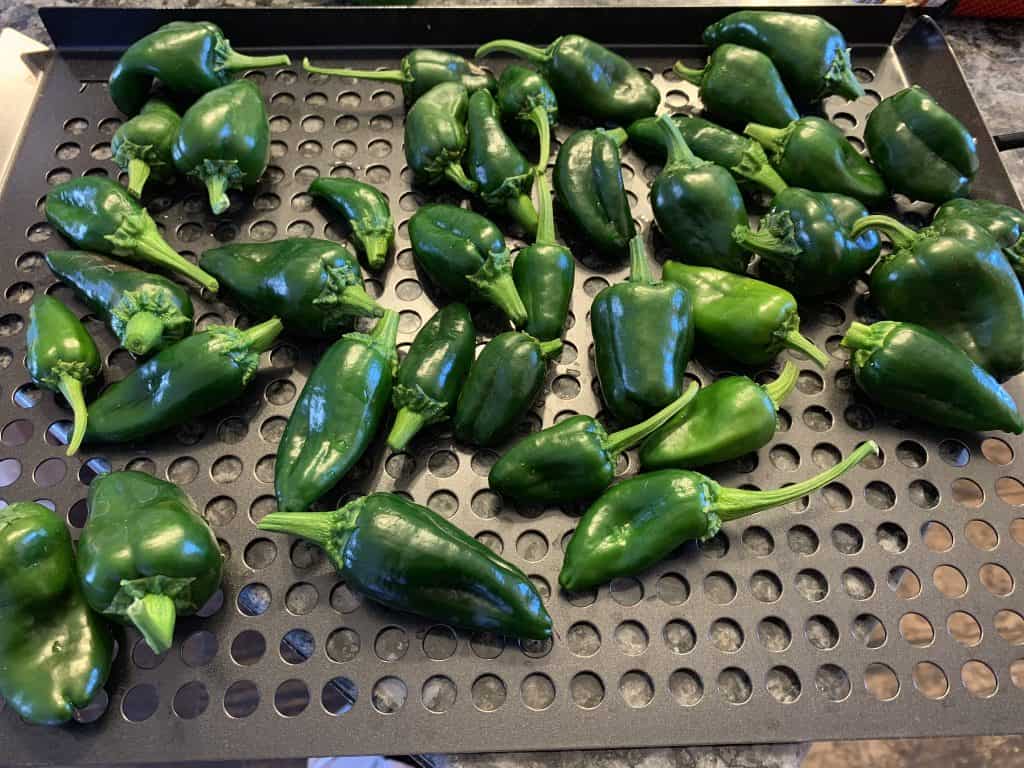 Preserving Peppers - Don't Miss the Delectable Delight 9 peppers