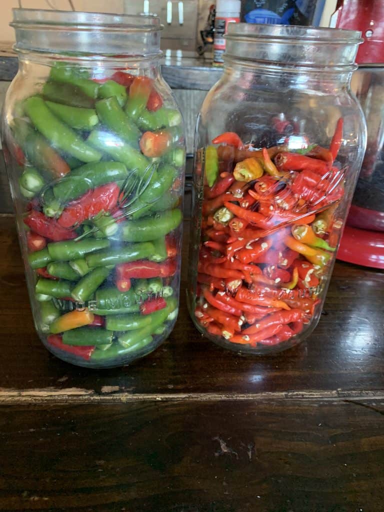 Preserving Peppers - Don't Miss the Delectable Delight 8 fermenting