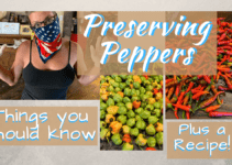 Preserving Peppers – Don’t Miss the Delectable Delight