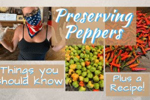 Preserving Peppers – Don’t Miss the Delectable Delight