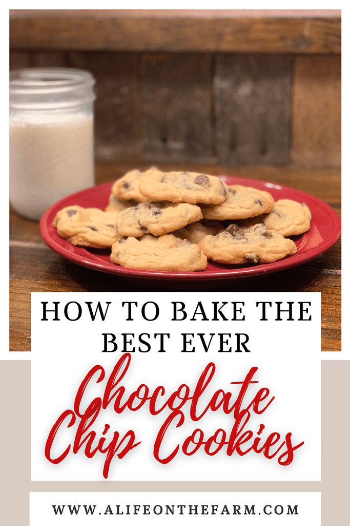 chocolate chip cookies