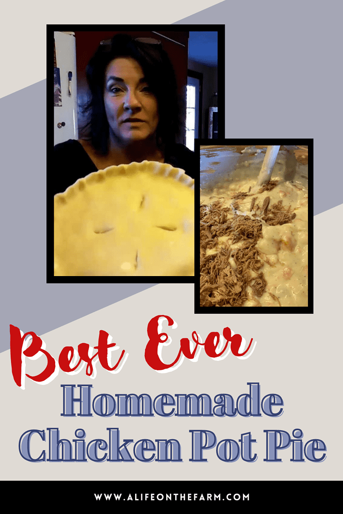 chicken pot pie