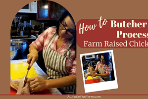 Master How to Butcher and Process Farm Raised Chicken – Quick!