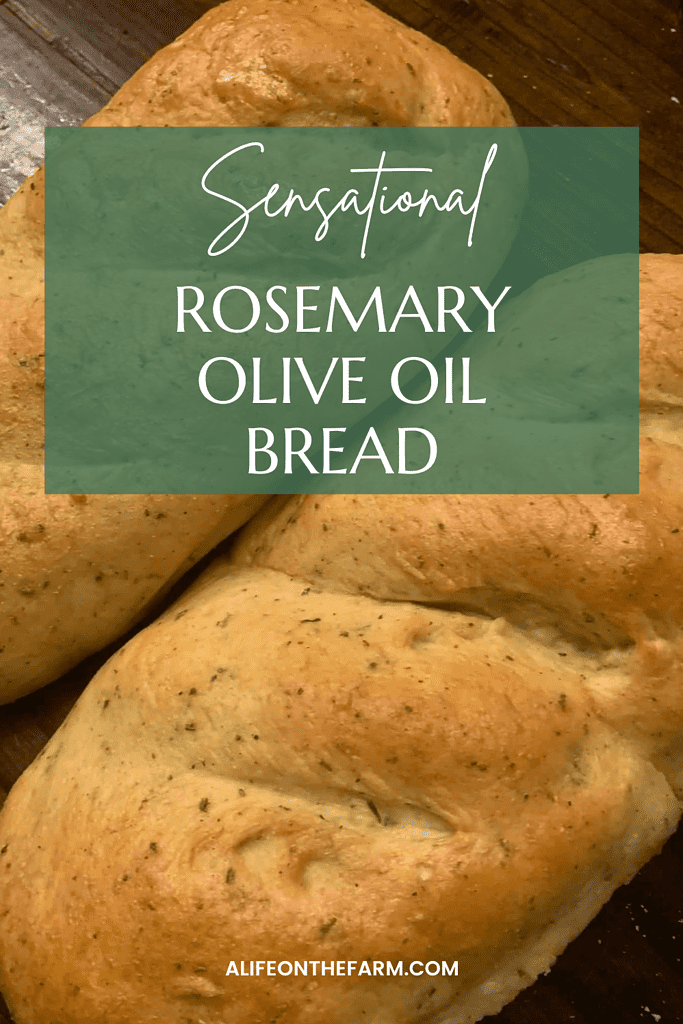 rosemary olive oil bread