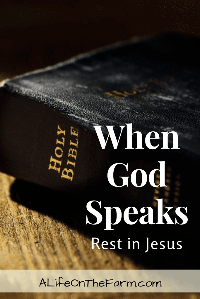 Rest in Jesus