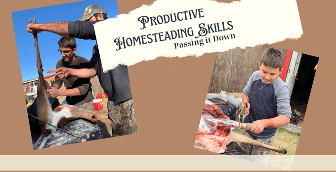 homesteading skills