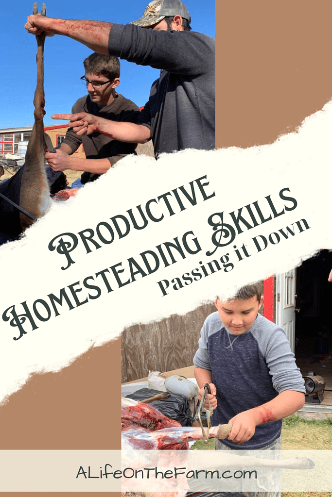 productive homesteading skills