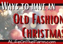 Have an Old Fashioned Christmas – 22 Great Ideas