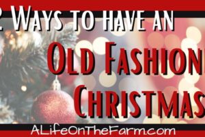Have an Old Fashioned Christmas – 22 Great Ideas