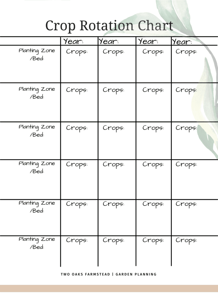 planning your best garden