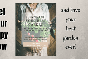 Planning Your Best Garden