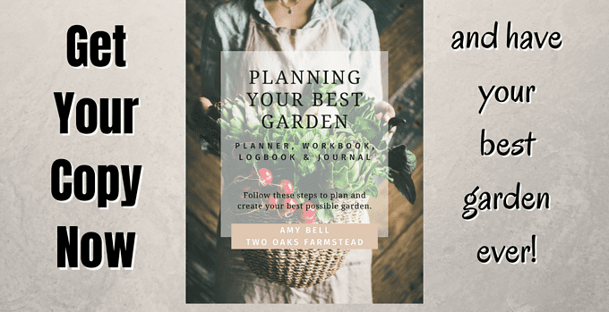 planning your best garden