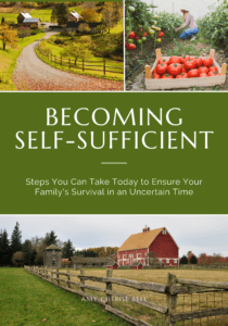 Becoming Self Sufficient
