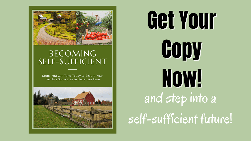 becoming self-sufficient