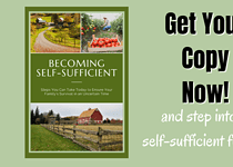 Becoming Self Sufficient – Powerful Steps You Can Take