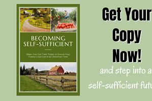 Becoming Self Sufficient – Powerful Steps You Can Take