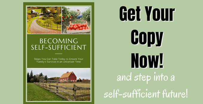self sufficient