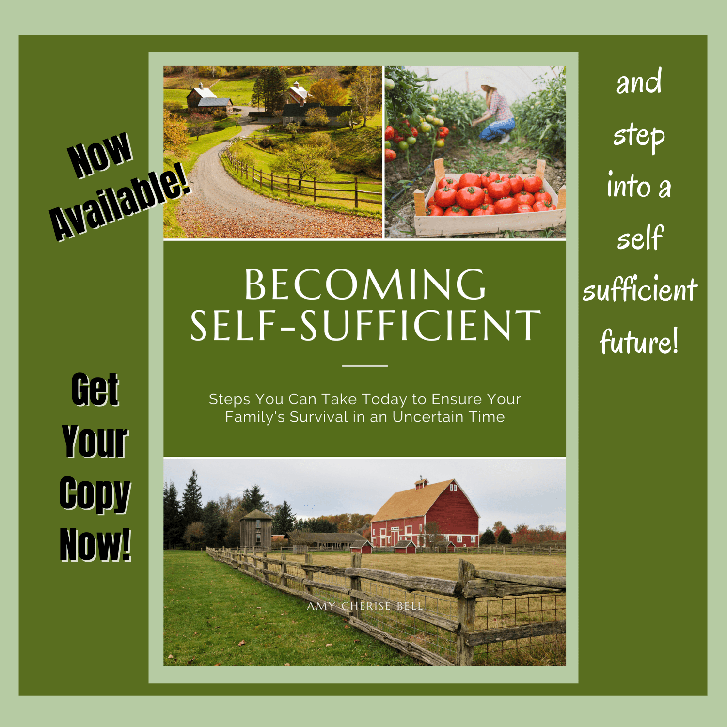 becoming self sufficient