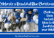 Celebrate a Beautiful Blue Christmas
