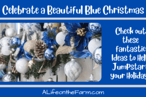 Celebrate a Beautiful Blue Christmas