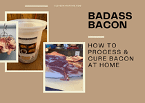 Badass Bacon -How to Process and Cure Bacon at Home