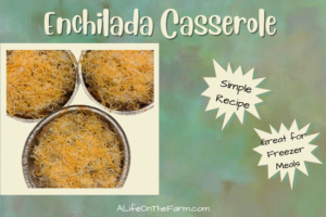 Easy Enchilada Casserole