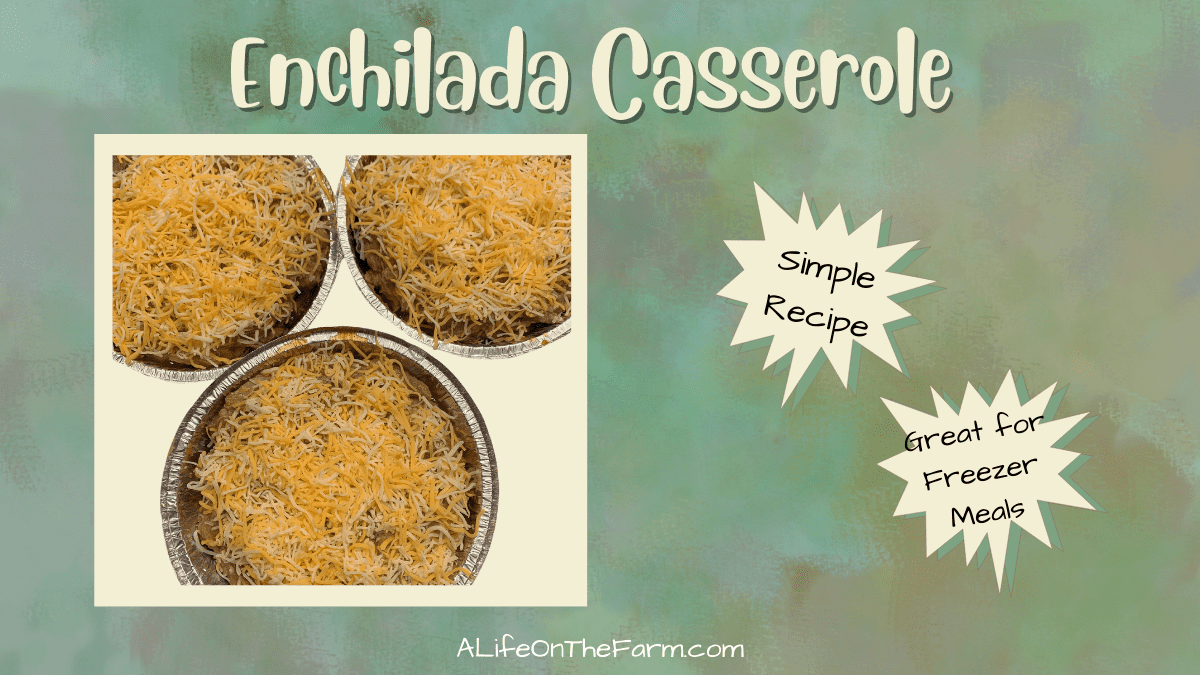 enchilada casserole