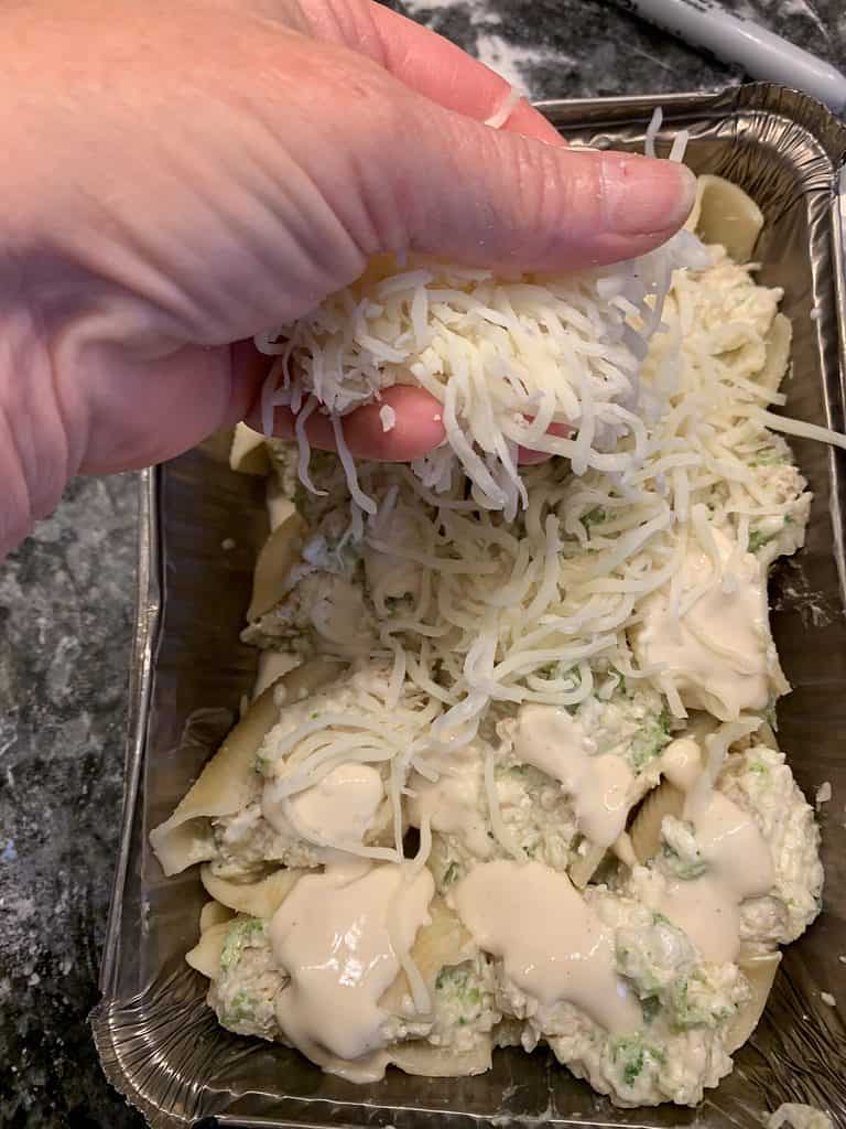 Fabulous Fail-Proof Freezer Cooking - Over 40 Meals in Just a Few Hours 13 freezer cooking