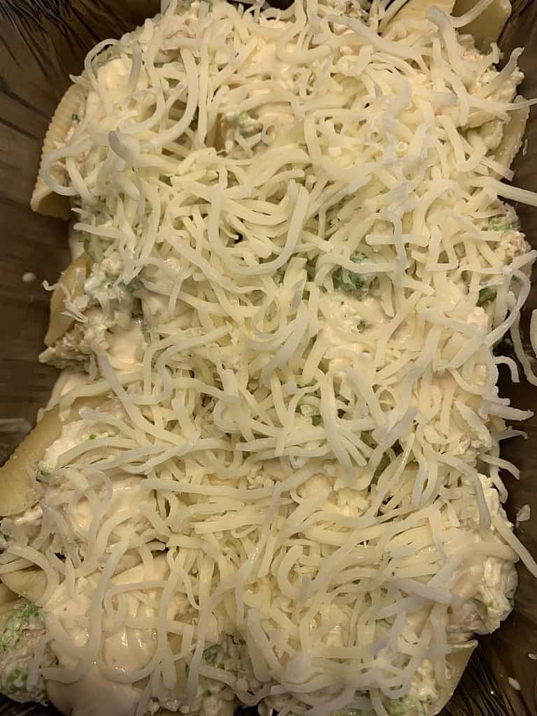 Fabulous Fail-Proof Freezer Cooking - Over 40 Meals in Just a Few Hours 14 freezer cooking