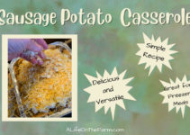 Sensational Sausage Potato Casserole