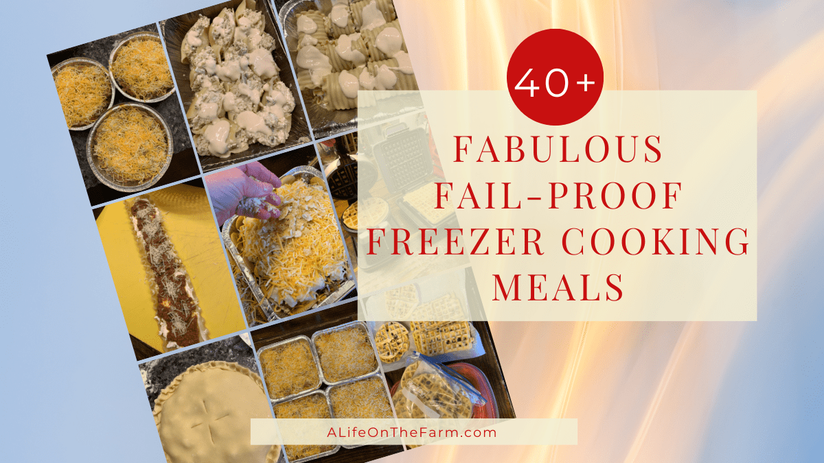 freezer cooking