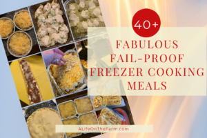 Fabulous Fail-Proof Freezer Cooking – Over 40 Meals in Just a Few Hours