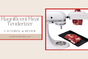 Magnificent Meat Tenderizer for KitchenAid Mixer – Review