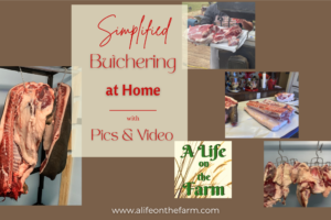 Simplified Butchering and Processing at Home – *Pics & Video
