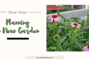 New Year – Ecstatic About Planning a New Garden